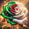 oum nissa profil fotoğrafı
