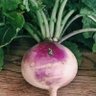 Turnip's profile picture