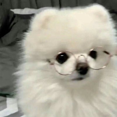 あおい's profile picture