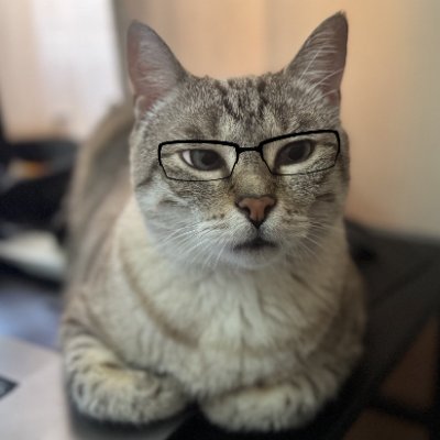 0x_RRP's profile picture