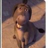 Scott's profile picture