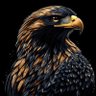 𝗘𝗻𝗶𝘀𝗝𝗞's profile picture