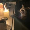 Hatice Eroğlu's profile picture