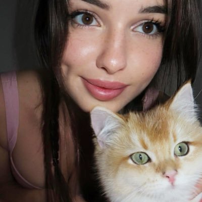 ilanosh 🐱's profile picture