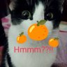 Peepo.so.tired's profile picture
