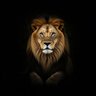 Javad Mousavi 🇮🇷's profile picture