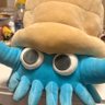 🦐🍄's profile picture
