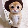 Profilbild von 猫王の中の王の中のお茶出し