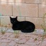 Фото профиля דוד