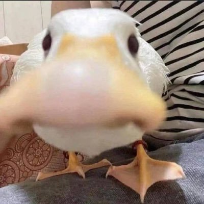 cardi123_'s profile picture
