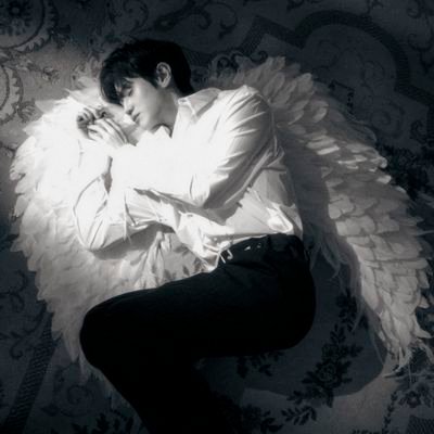 양키스's profile picture