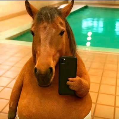 旧多's profile picture