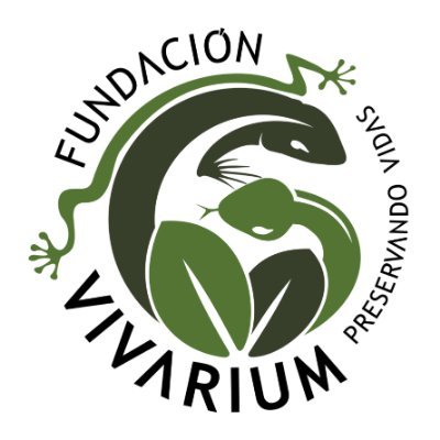 FVivarium's profile picture