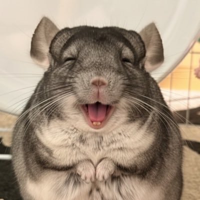 8Ruqd9's profile picture