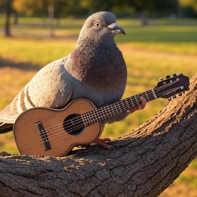 ぽっぽ's profile picture