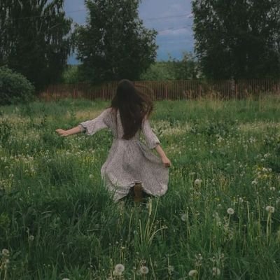 WORLD VIEW's profile picture