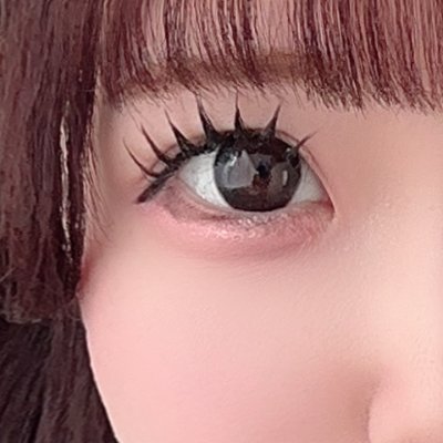 コトリ(・8・)'s profile picture