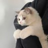 Reema profil fotoğrafı