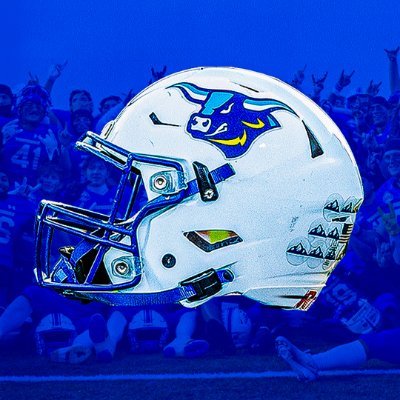 ALFRED STATE FOOTBALL's profile picture
