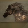 Фото профиля Gina Lane