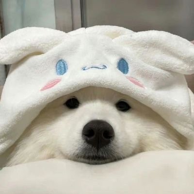 pingping's profile picture