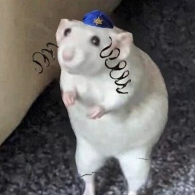 Rabbi Jeff's profile picture