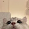 tk profil fotoğrafı