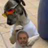 Stayreal's profile picture