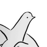 Annite's profile picture