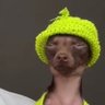 Noway's profile picture