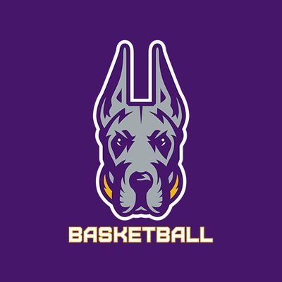 UAlbany Basketball's profile picture