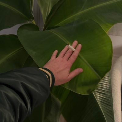 Paul's profile picture