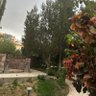 fe-ft profil fotoğrafı
