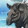 Profilbild von TAK(タック)