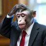 Profilbild von Led by Monkeys