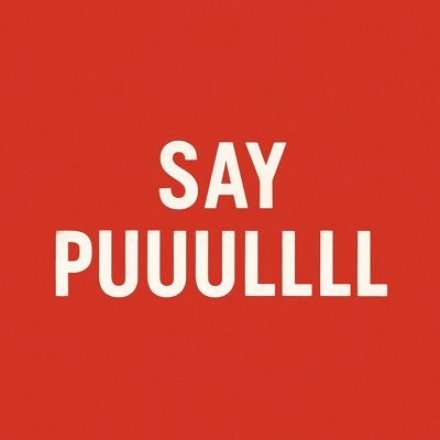 say_puulll's profile picture