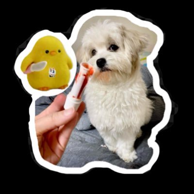🐣LOOKJEABในกำมือ(เจจิน)🦙🤍🐒's profile picture