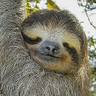 Profilbild von macchan