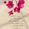 Kahld Faraa's profile picture