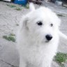 Sool orell's profile picture