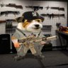 Nasty Canadian NAFO Fella Martin's profile picture