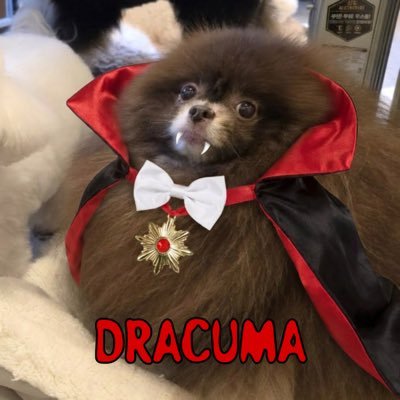 KING KUMA's profile picture