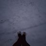 Фото профиля 𝓜