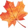 Automne - Monteur vidรฉo ็ๅคดๅ