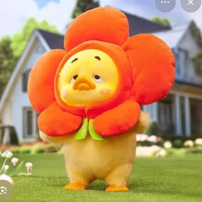 anakbebek's profile picture