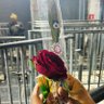 Фото профиля umesh yadav