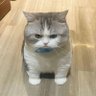 潜龍 profil fotoğrafı