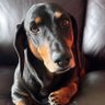 Bennie's profile picture