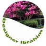 Фото профиля حديقة البيت