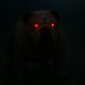 K.J.'s profile picture
